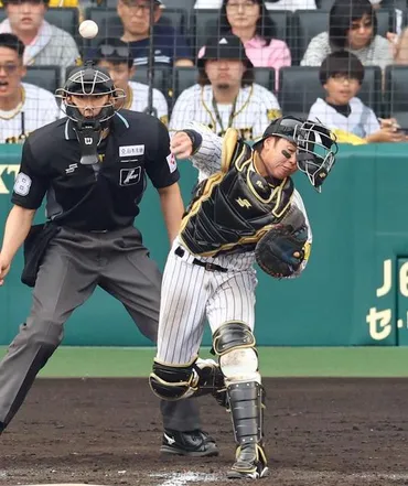 阪神・梅野 ２６９日ぶり今季初マルチ＆バズーカさく裂「勝つため」の守備意識で勝利に貢献/阪神タイガース/デイリースポーツ online