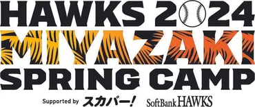 福岡ソフトバンクホークス春季キャンプin宮崎！見どころ満載！2024年のキャンプ情報はコレで完璧!!