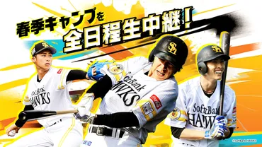 HAWKS宮崎春季キャンプ中継2024：野球：スポーツライブ＋（プラス）