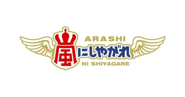 嵐のツッコミ修行!? 芸人から学ぶ嵐の意外な一面嵐の休日の過ごし方とは!!?