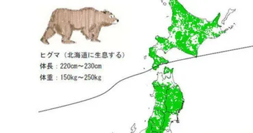 2014年秋、クマの大量出没の予測（WWFジャパンまとめ） 