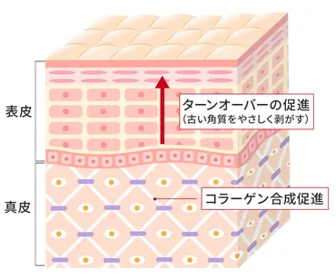 レチノールって本当に効果あるの？美肌への効果と注意点とは！？