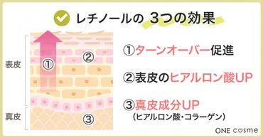 皮膚科医も推奨する「レチノール」の効果とは？副作用や効率的な使い方も解説 