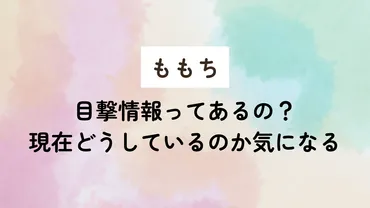 ももち（嗣永桃子）の現在は？目撃情報や消えた理由についても迫る 