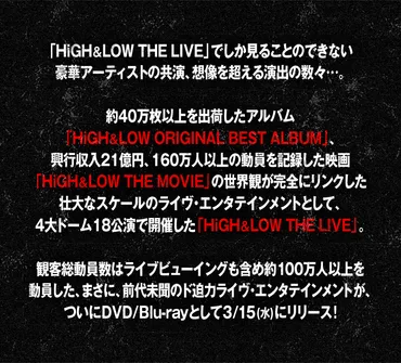 HiGH & LOW THE LIVE DVD/Blu