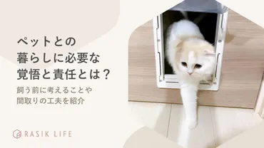 ペットとの暮らしに必要な覚悟と責任とは？飼う前に考えることや間取りの工夫を紹介 – RASIK（ラシク）家具・インテリア専門店