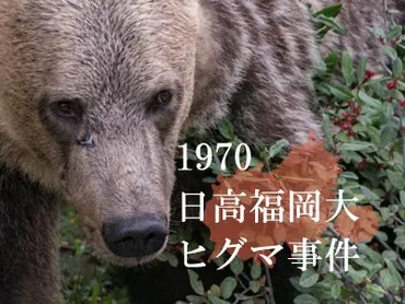 福岡大ワンゲル部・ヒグマ襲撃事件