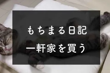 最新】もちまる日記の飼い主゛下僕゛一軒家を購入！新居はどこ？どんな家？職業や収入は？ – なぜなに事典
