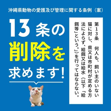 野良猫への餌付けは法律違反？(猫との共存と責任)餌やりは愛護か迷惑か!?