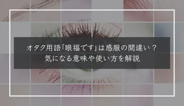 オタク用語「眼福です」は感服の間違い？気になる意味や使い方を解説 