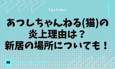 あつしちゃんねる(猫)の炎上理由は？新居の場所についても！ 