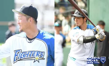 中田翔、中日へ！3億円！移籍の真相は？年俸は3億円！移籍の真相とは！？