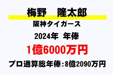 梅野 隆太郎(阪神)の年俸・年収推移【最高・平均・通算】