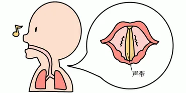 喉の痛み、一体何が原因？ 声が枯れる原因と、喉の痛みの原因を徹底解説！原因別、症状別の解説とは！？