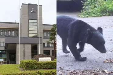 クマ駆除で「人でなし」「地獄に堕ちろ！」のクレーム 秋田県美郷町 に寄せられた苦情は2日で電話450件・メール160件、役場担当者の苦悩