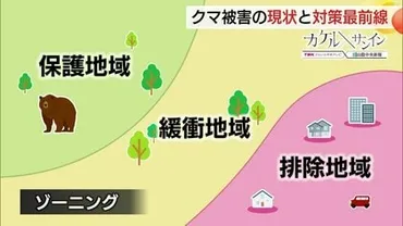 相次ぐクマ被害どうする!? ゛保護゛か゛駆除゛かで揺れる対応 一時絶滅の危機も過去最多に増加【島根発】