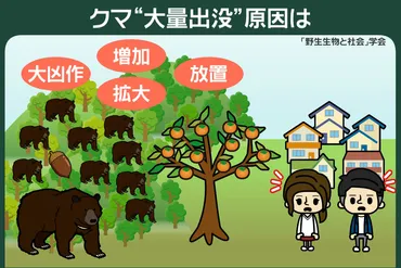 187 クマ大量出没で゛緊急゛対策は？