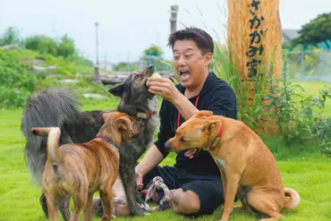 坂上忍が取り組む動物保護活動 私財3億2000万円を投じて「持続可能な事業」を目指す 