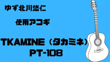 ゆず北川悠仁使用アコギTAKAMINE（タカミネ）PT