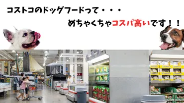 コストコで愛犬と幸せに！カークランドシグネチャーのドッグフードは買い？コストコの犬用商品とは！？