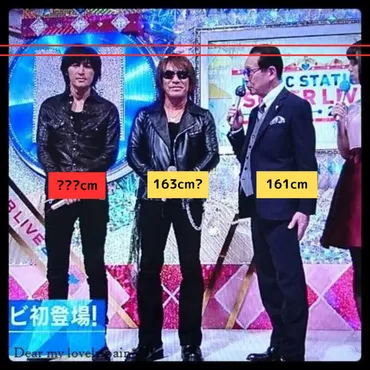 稲葉浩志さんの身長は本当に173cm？様々な情報から検証してみた！疑惑の真相とは！？