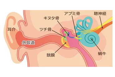 堂本剛の突発性難聴は深刻なのか、浜崎あゆみもまだ治っていない 