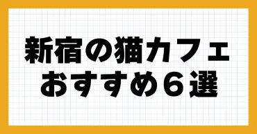 新宿の猫カフェ、知ってる？魅力が爆発する！