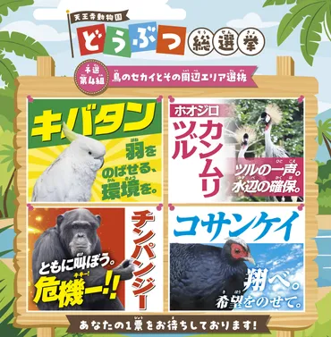 大阪トヨペット✖️天王寺動物園コラボレーション企画 ズートヨ