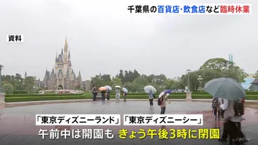 台風7号 東京ディズニーランド・シーは閉園前倒し 百貨店・スーパー・飲食チェーンで臨時休業 