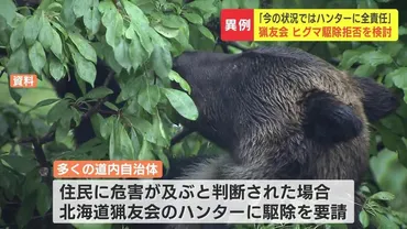 北海道猟友会がヒグマ駆除要請を拒否検討「今の状況ではハンターに全責任」発砲をめぐる裁判で゛違法゛判決「もうどこでも撃てない」