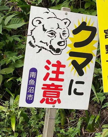 ヒグマ駆除「不安なくできる仕組みを」 北海道と猟友会、国に要望へ 