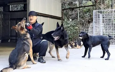 警察犬って、小型犬でもなれるの？警察犬の多様化とは!!?