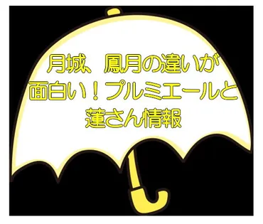 月城、鳳月の違いが面白い！プルミエールと蓮さん情報 