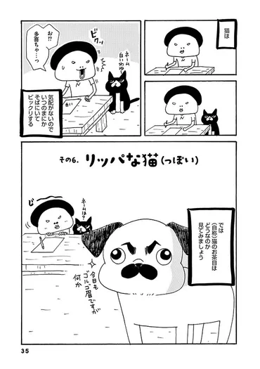 その行動、めっちゃ猫っぽい！ 先輩猫の福ちゃんを狙う゛お茶目゛／ウチのパグは猫である。（ダ・ヴィンチWeb）