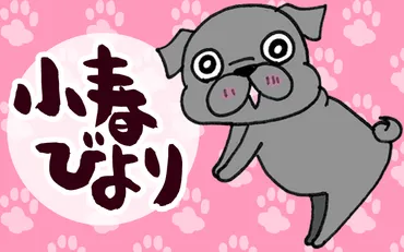 ひぐちにちほ先生の猫漫画『ひぐち猫。』は、どんな作品？猫との暮らしは最高!!?