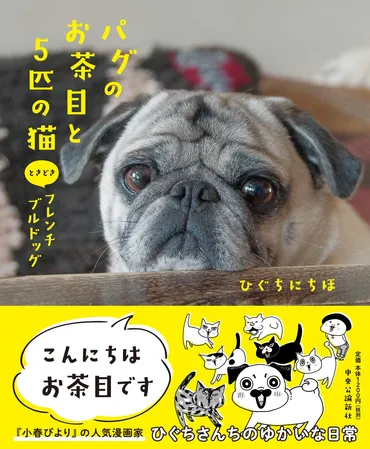 パグのお茶目ちゃんが猫化！？ひぐちにちほさんの保護猫との暮らしは？猫とパグの奇妙な共同生活とは！？