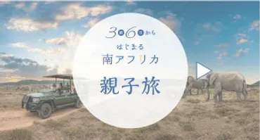 クルーガー国立公園の宿泊施設 