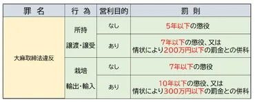 保存版】大麻で逮捕される4つの行為と刑罰・事例を弁護士が解説 