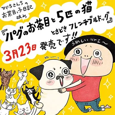 6歳になったパグのお茶目。まだ自分のことを猫と思ったまま… 連載：ひぐちさんちのお茶目っ子日記