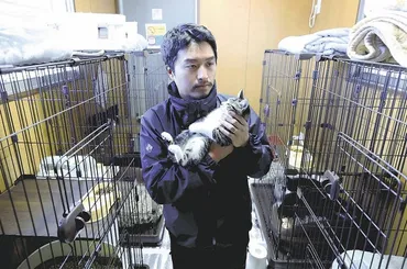 被災地で迷い猫保護、４０匹を飼い主へ…朝市通り火災で飼い猫不明の漆芸家「再会させてあげたい」 : 読売新聞