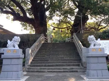 福山雅治 「クスノキ」のモデル山王神社のクスノキと片足鳥居。