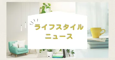 長崎夏海さんって誰？児童文学作家の人生と功績に迫る！児童文学作家の人生とは！？