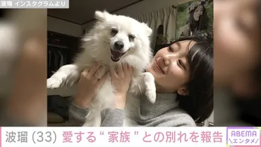 波瑠()、年前に愛犬と別れ「むくはお星さまになりました」「おかーさん元気に頑張ってるよ!」()