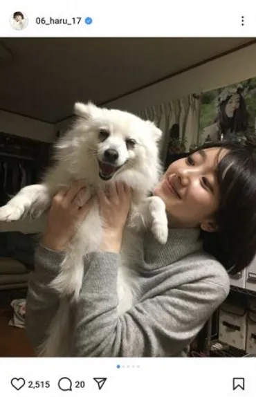 波瑠「むくはお星さまになりました」「一人暮らしで初めて迎え