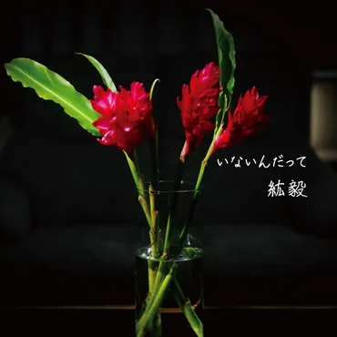 紘毅いないんだって