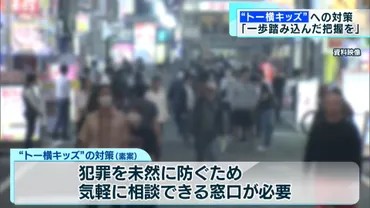 トー横キッズを犯罪から守る有識者「一歩踏み込んだ実態把握」提言へ