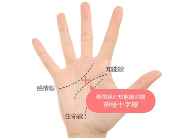 手相占い】「神秘十字線」とは?持つ人の特徴や運勢、見つけ方を解説