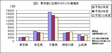 カラスとの賢い付き合い方とは？〜カラスの生態と対策、疑問を徹底解説！〜カラス対策の最前線！ 都心部のカラス問題から、家庭でできる対策まで