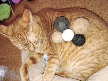 猫の抜け毛を再利用！自分だけのお気に入り毛玉ボールを作ろう！