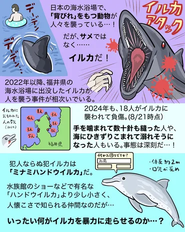 図解】イルカがせめてきた！？ イルカ襲撃の背景とは 